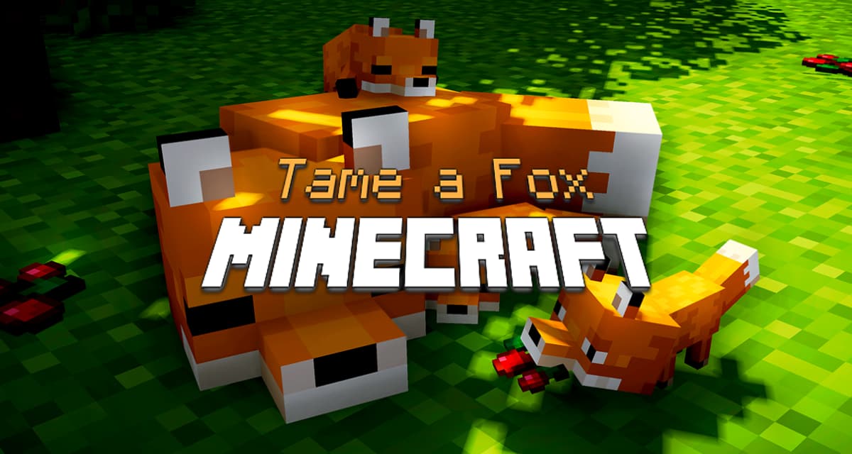 How to tame a fox in Minecraft ?
