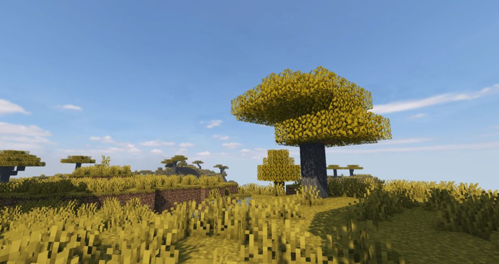 un árbol en una llanura