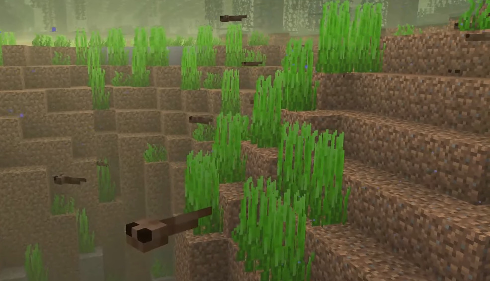 tadpole minecraft