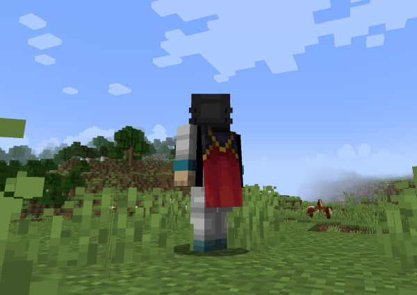 Launch Minecraft now, you should see your beautiful migrator cape in game !