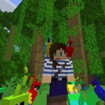 How to put a parrot on your shoulder in minecraft ?