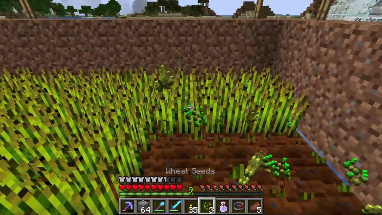 how to tame a parrot in minecraft seed