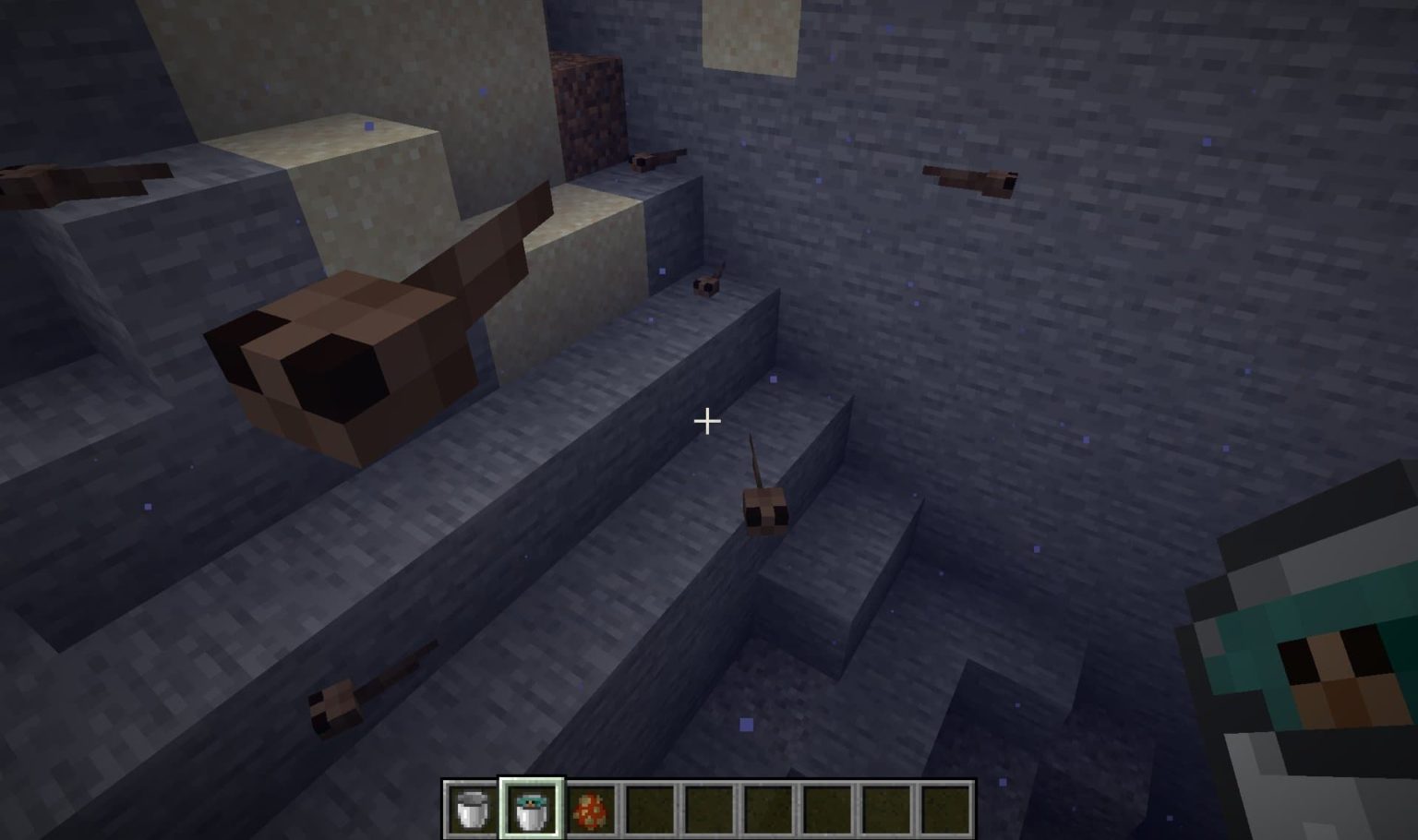 Kaulquappen In Minecraft - Alles Was Du Wissen Musst - Minecraft Tutos