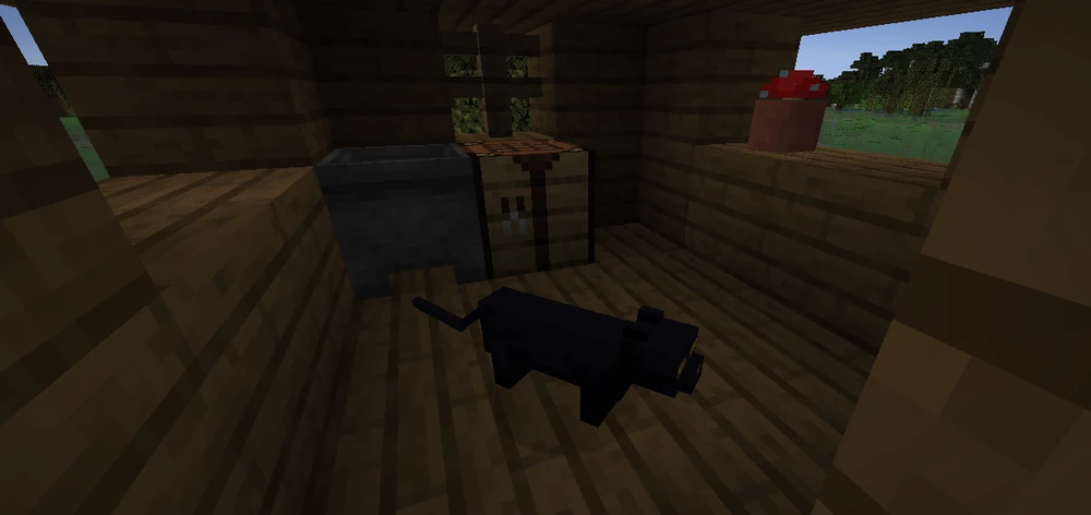 gatto nero casa della strega minecraft