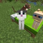 Cat Minecraft : How to find and tame them ? What behavior and what appearance ?