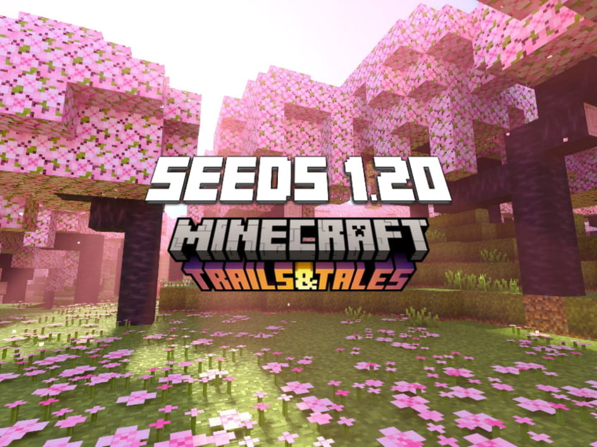 MINECRAFT 1.20 - A MELHOR SEED PARA COMEÇAR A JOGAR (MCPE, Xbox,  Playstation, PC) 