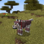 Armadura de lobo do Minecraft : como faço para obtê-la ?