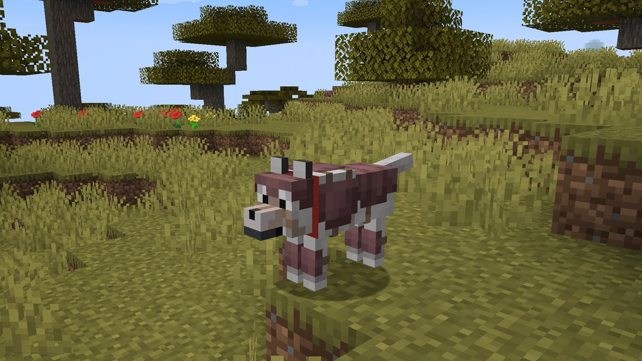 Minecraft Wolfs-Rüstung : Wie bekomme ich sie ?