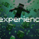How do I use the /xp and /experience commands in Minecraft ?