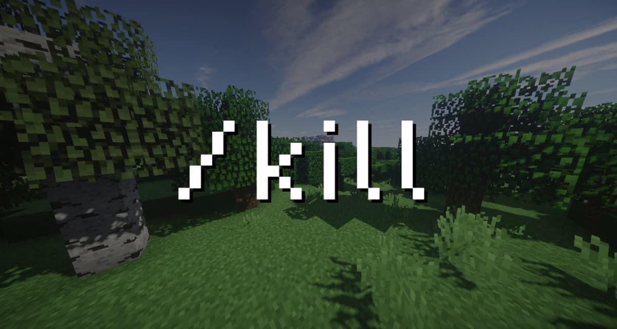 How to use the /kill command in Minecraft ?